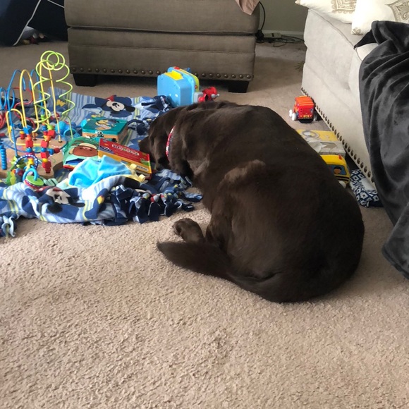 Meet your Posher, Mike - Picture 1 of 1